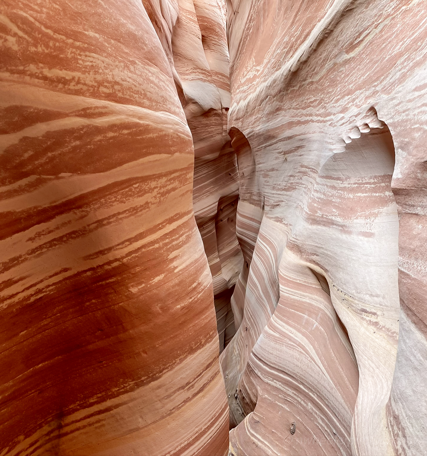 how much water in zebra slot canyon